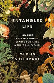 entangled-life