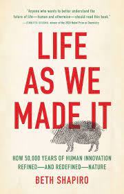 life-as-we-made-it