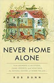 never-home-alone