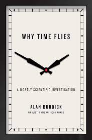 why-time-flies